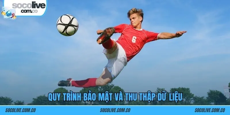 Quy trình bảo mật và thu thập dữ liệu