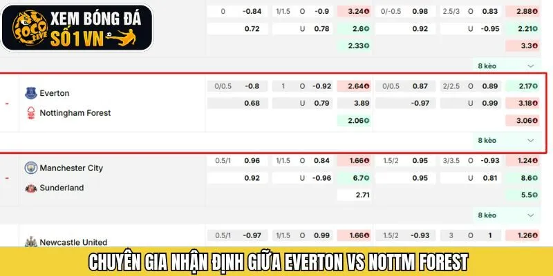 Phân tích cụ thể về trận đấu Everton gặp Nottm Forest