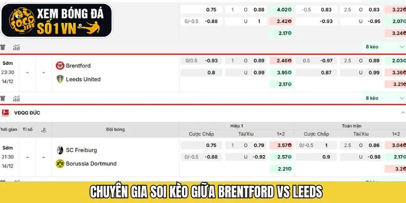 Dự đoán kèo chính xác giữa Brentford vs Leeds