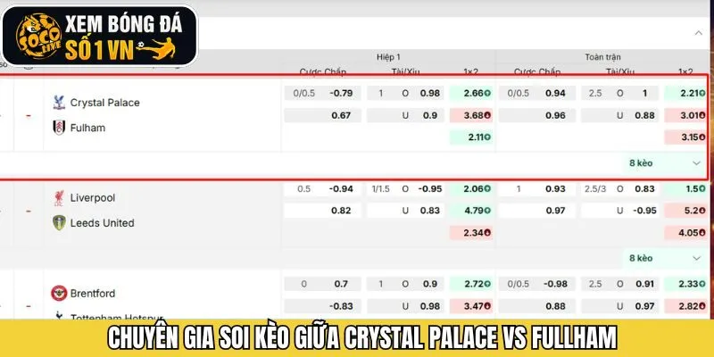 Socolive đưa ra nhận định kèo chuẩn xác nhất