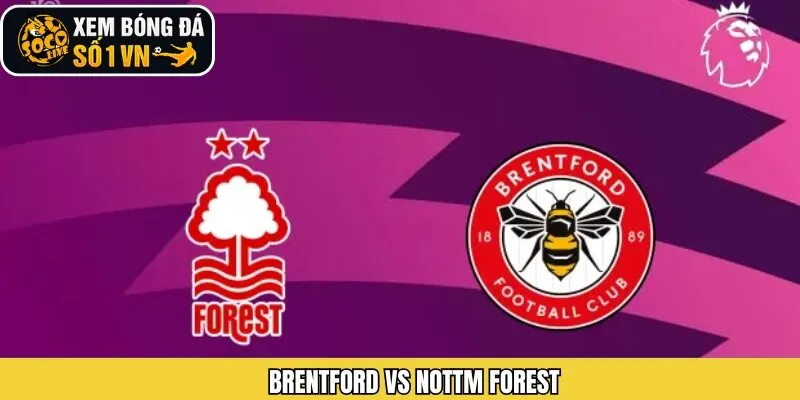 Nhận Định Brentford Vs Nottm Forest Ngày 25/01 Từ Socolive
