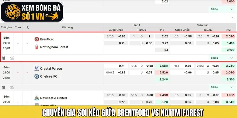 Soi kèo trận đấu giữa Brentford vs Nottm Forest từ Socolive
