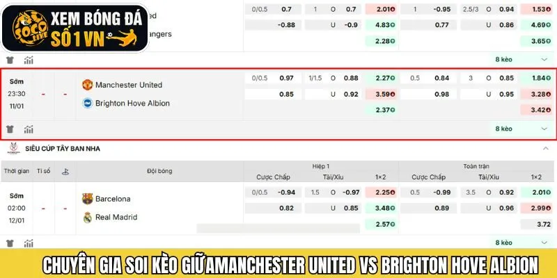 Soi kèo chuẩn Manchester United vs Brighton Hove Albion