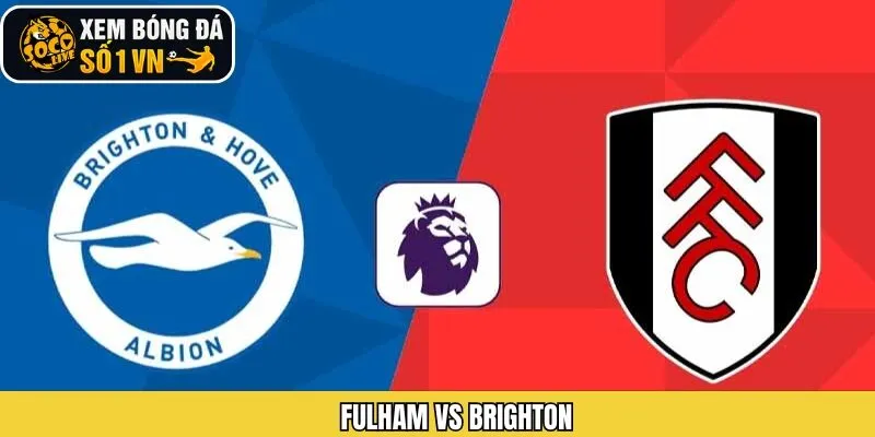 Phân Tích Kèo Trận Fulham Vs Brighton 24/1 Từ Socolive