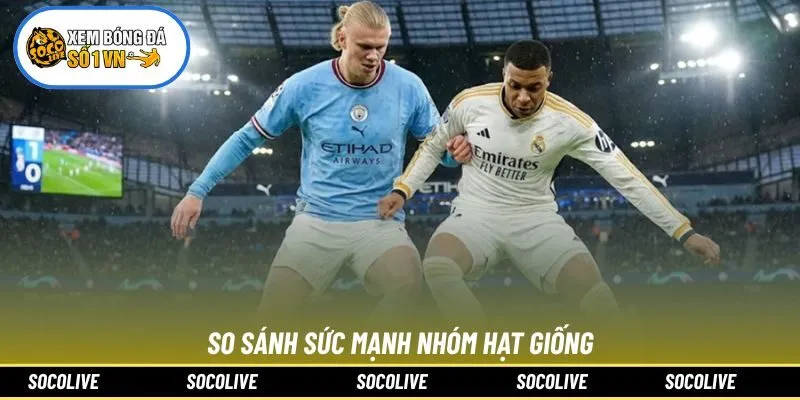 So sánh sức mạnh nhóm hạt giống